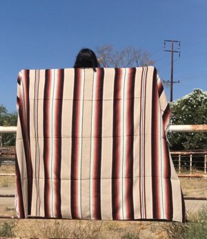 Pumpkin Spice Zarape Blanket