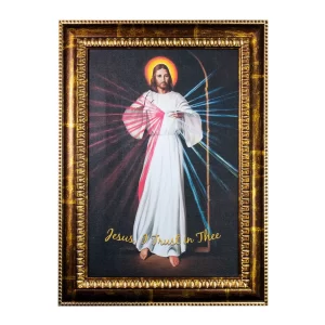 Divine Mercy Canvas