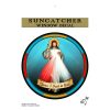 Divine Mercy Window Sticker